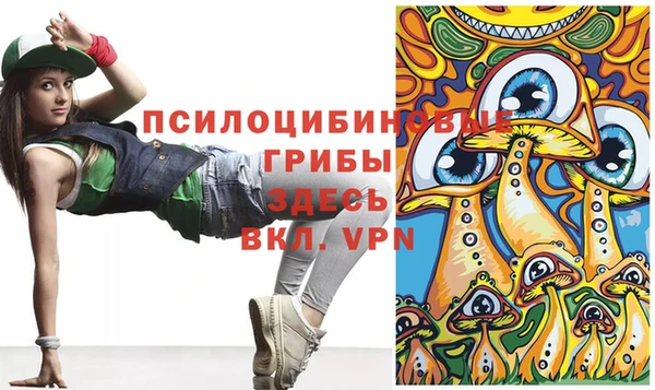 СК Алзамай