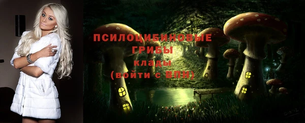 СК Алзамай