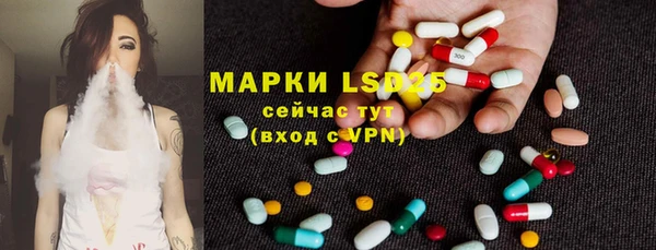 ПСИЛОЦИБИНОВЫЕ ГРИБЫ Алексеевка