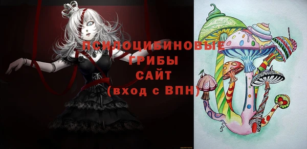 СК Алзамай